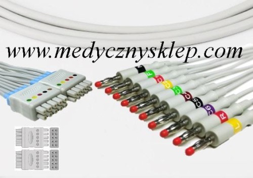 Odprowadzenie EKG.jpg